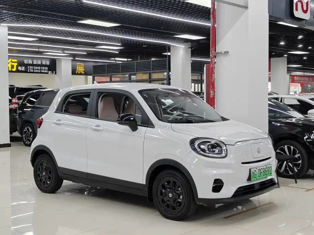 Leapmotor T03 2025 310