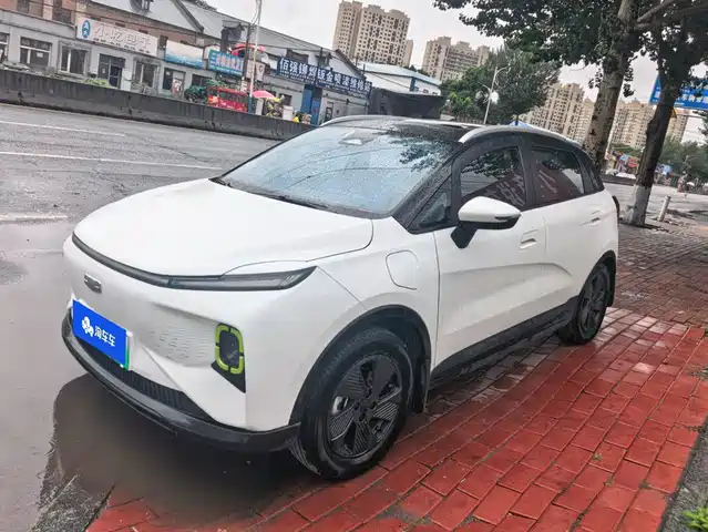 2024 Geely Geometry E Firefly