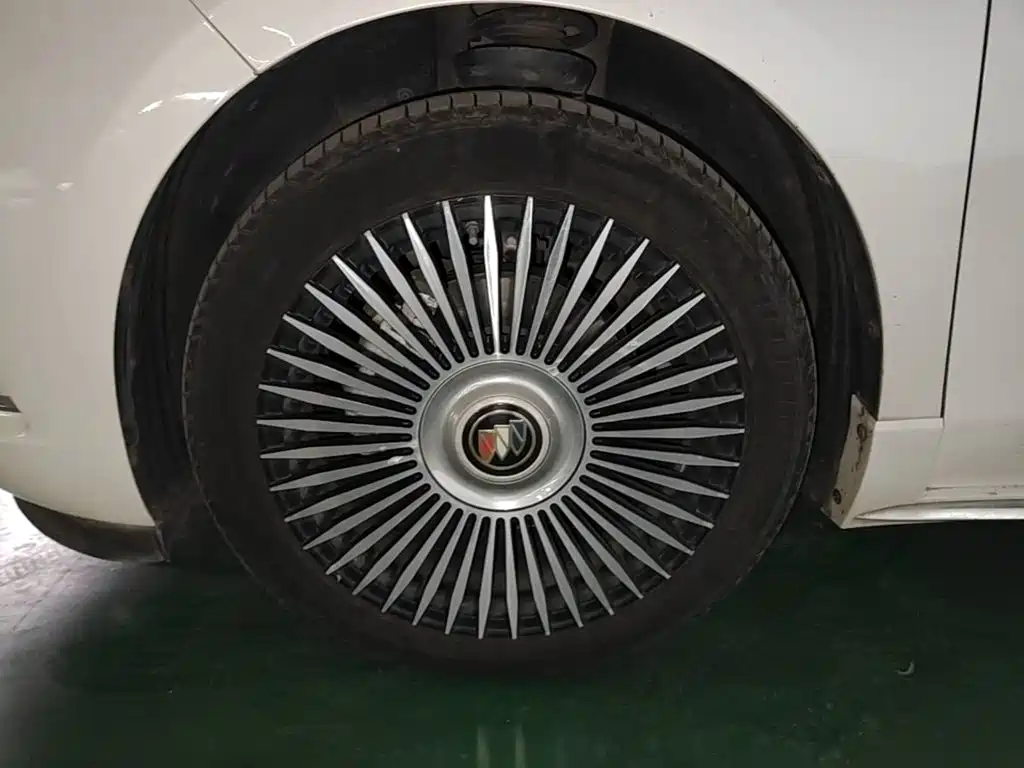 Buick GL8 — миниатюра 23