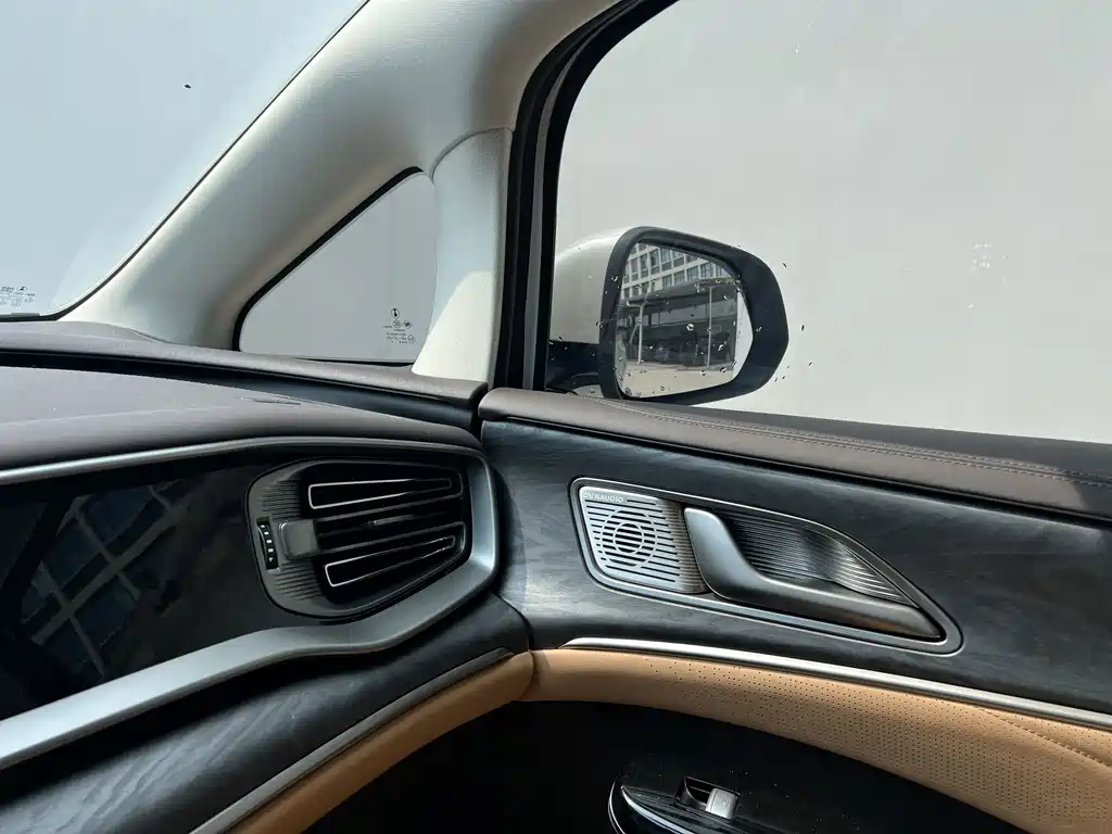 Denza Denza D9 — миниатюра 10