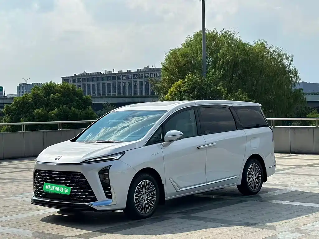 BUICK GL8 NEW ENERGY