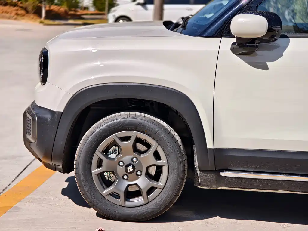 BAOJUN YUE ALSO PLUS