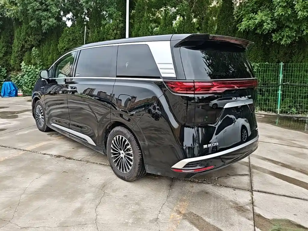 Denza Denza D9 — миниатюра 5