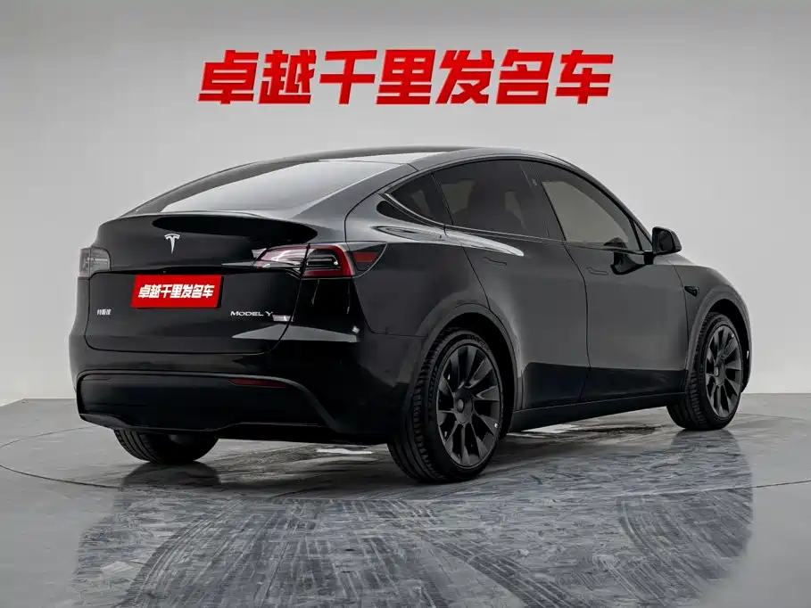 Tesla Model Y — миниатюра 4