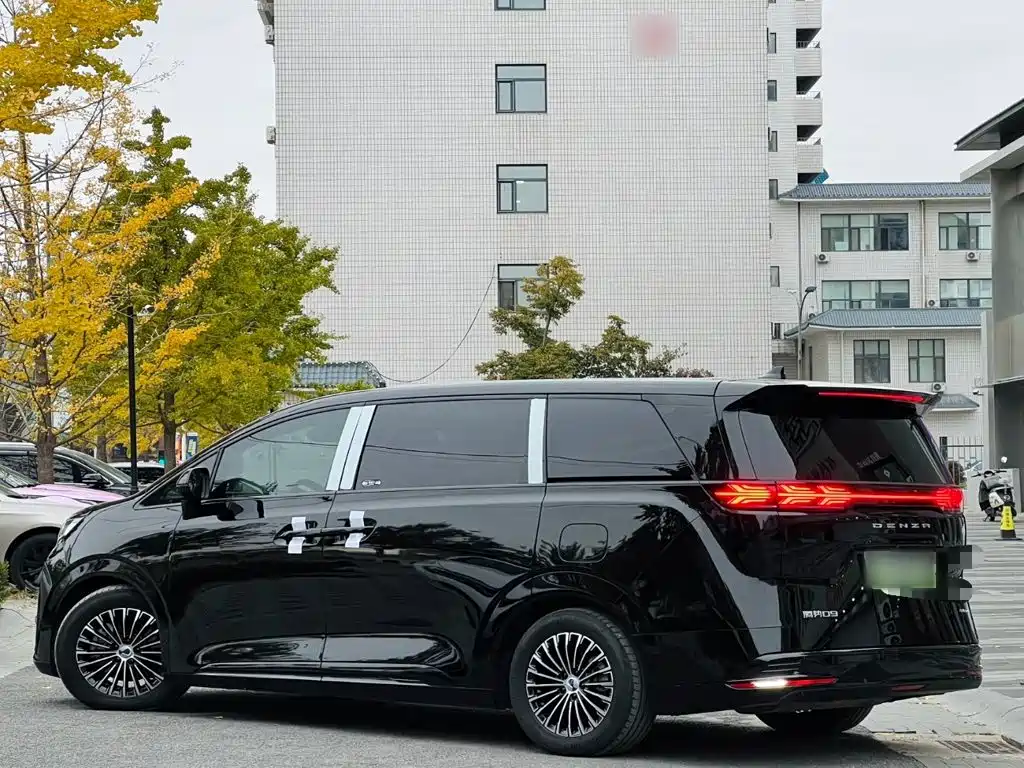 Denza Denza D9 — миниатюра 5