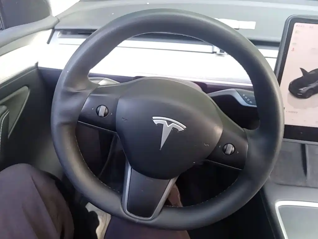 Tesla Model Y — миниатюра 11