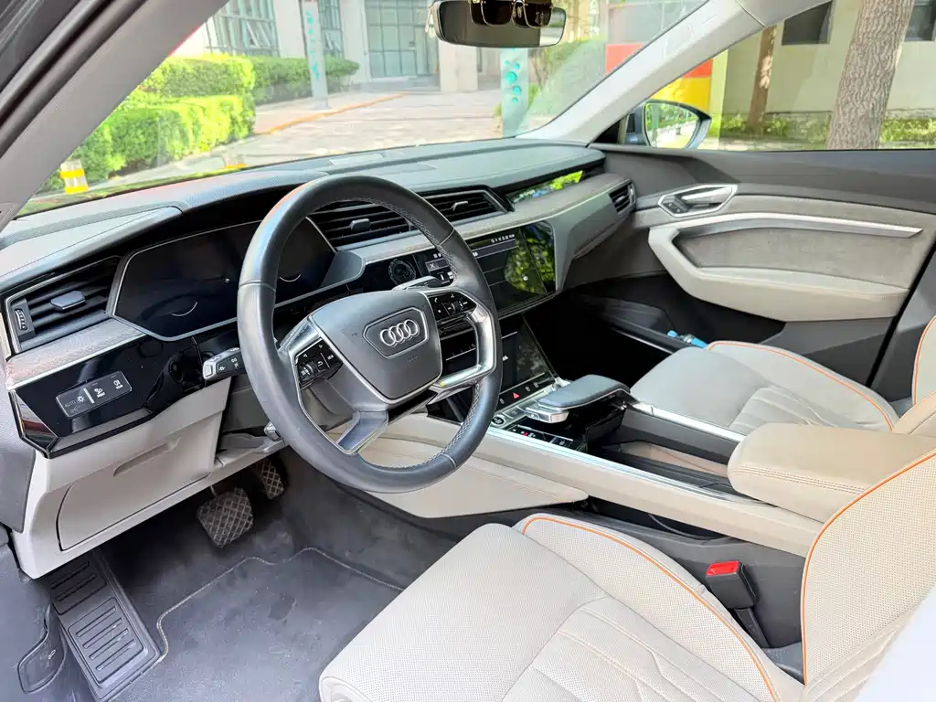 Audi e-tron (Import) — миниатюра 4