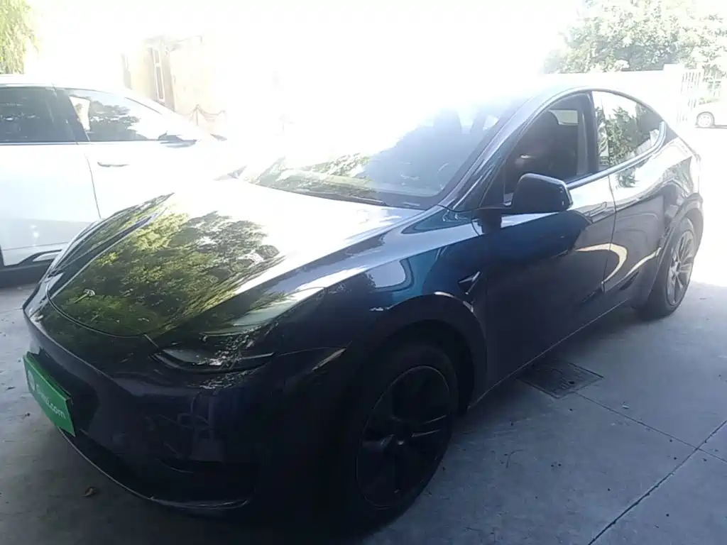 Tesla Model Y — миниатюра 2
