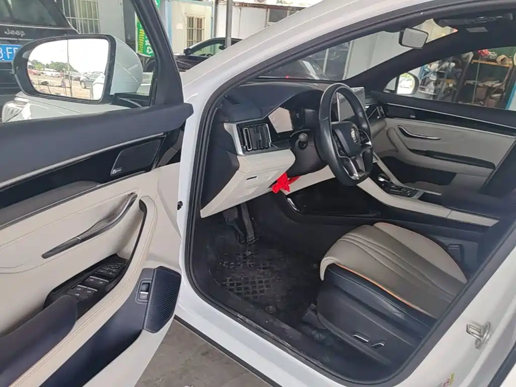 BYD PLUS New Energy — миниатюра 16