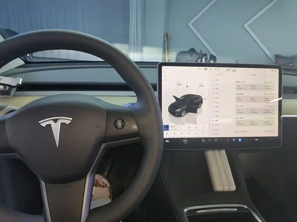 Tesla Model Y — миниатюра 10