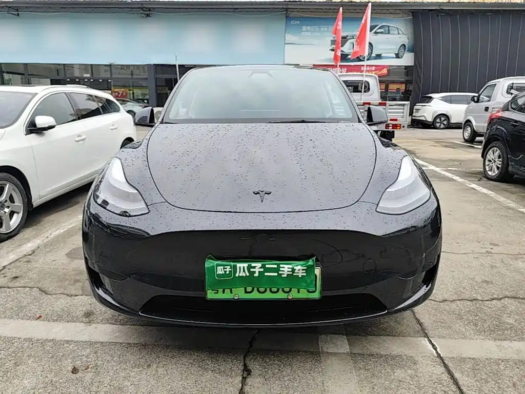 Tesla Model Y — миниатюра 3