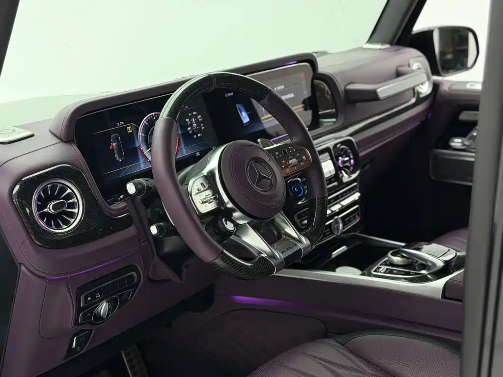 Mercedes-Benz G-Class G 2010 G 500
