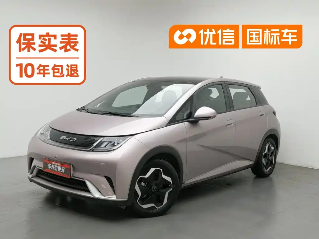 BYD Dolphin