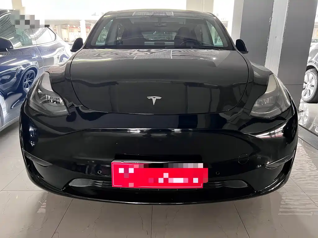 Tesla Model Y — миниатюра 2