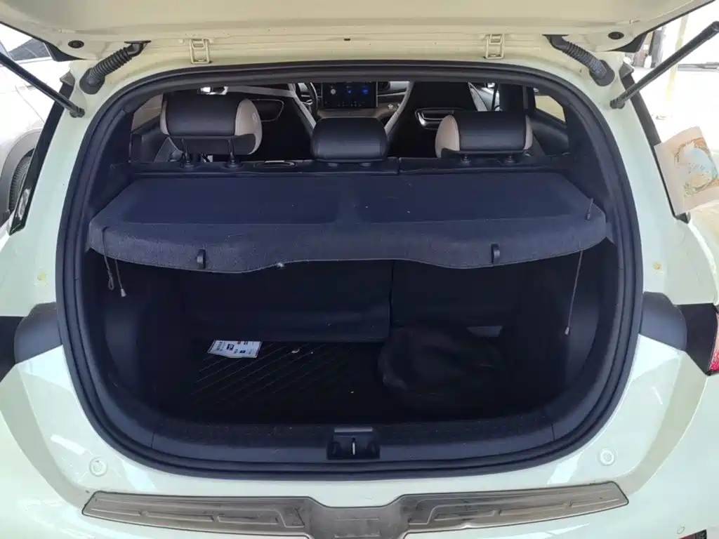 BYD Dolphin — миниатюра 19