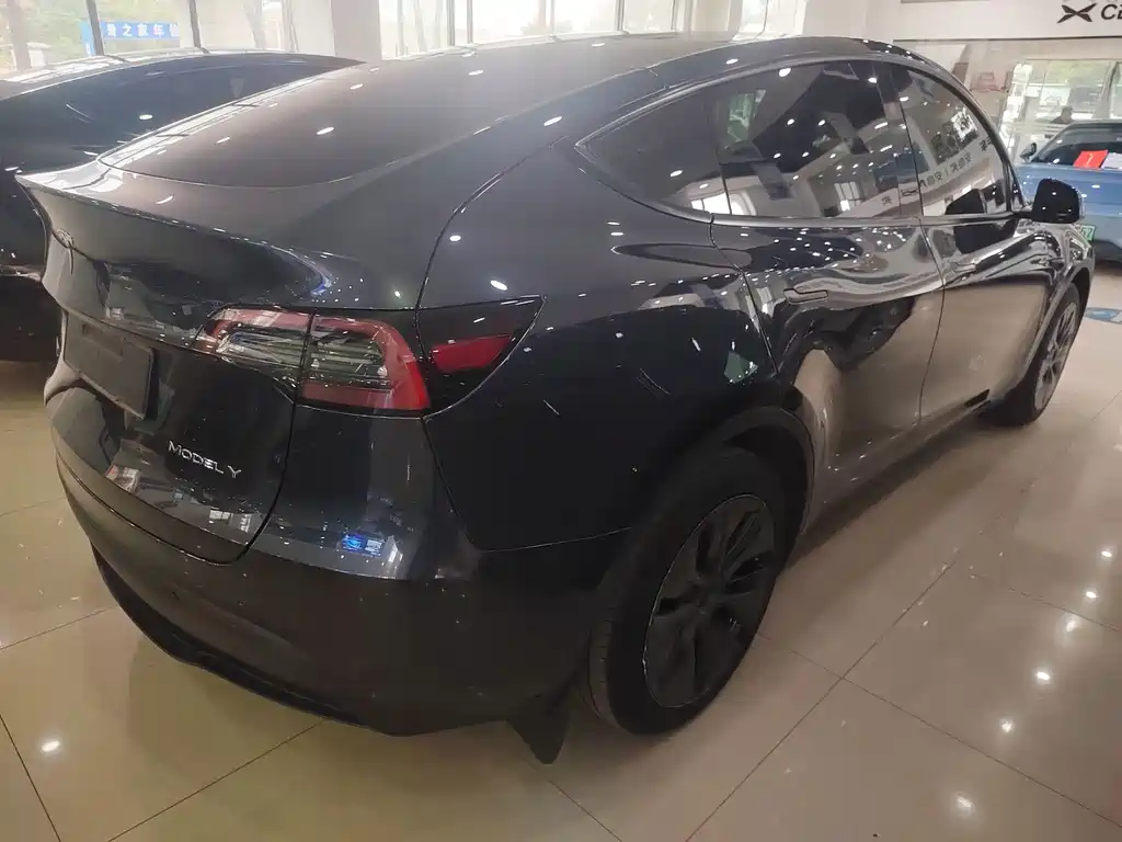 Tesla Model Y — миниатюра 7