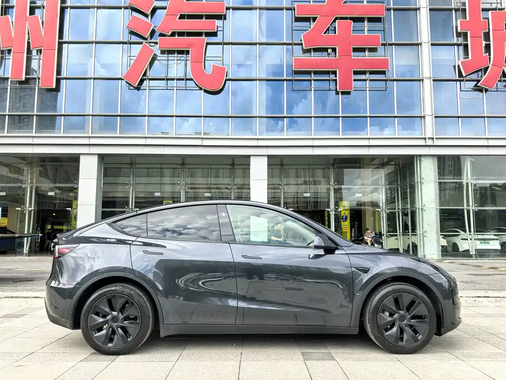 Tesla Model Y — миниатюра 9