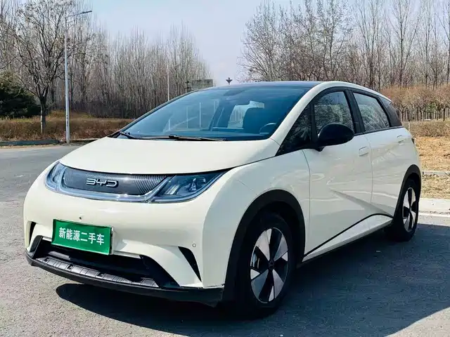 BYD DOLPHIN 2024