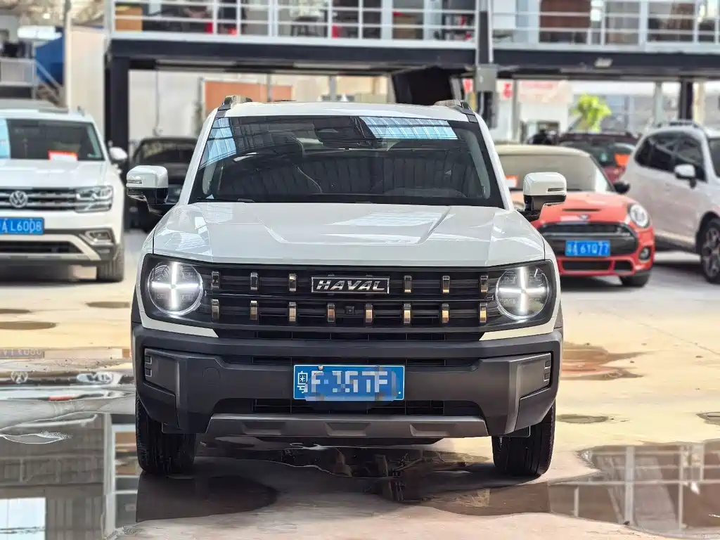 Haval Cool Dog — миниатюра 2