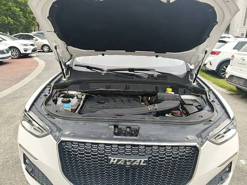 Haval F5 — миниатюра 20