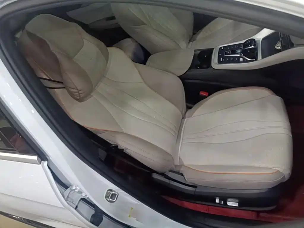 BYD Pro New Energy — миниатюра 25