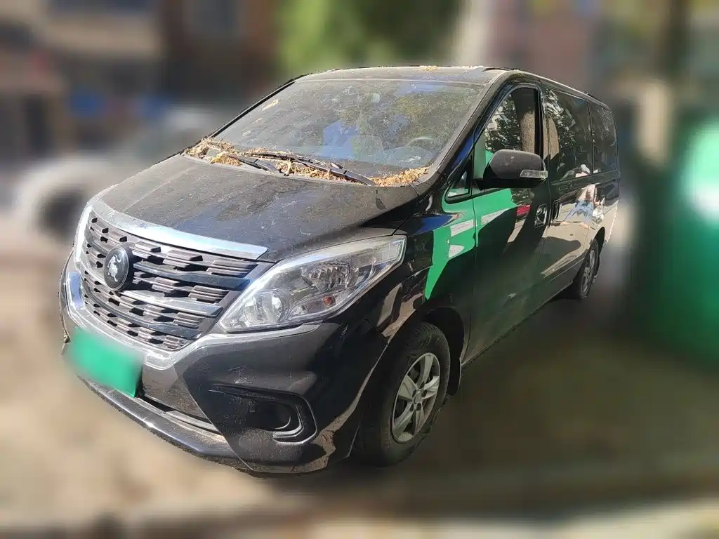 Forthing Lingzhi Plus