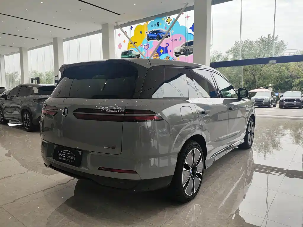 Denza Denza N8L — миниатюра 5