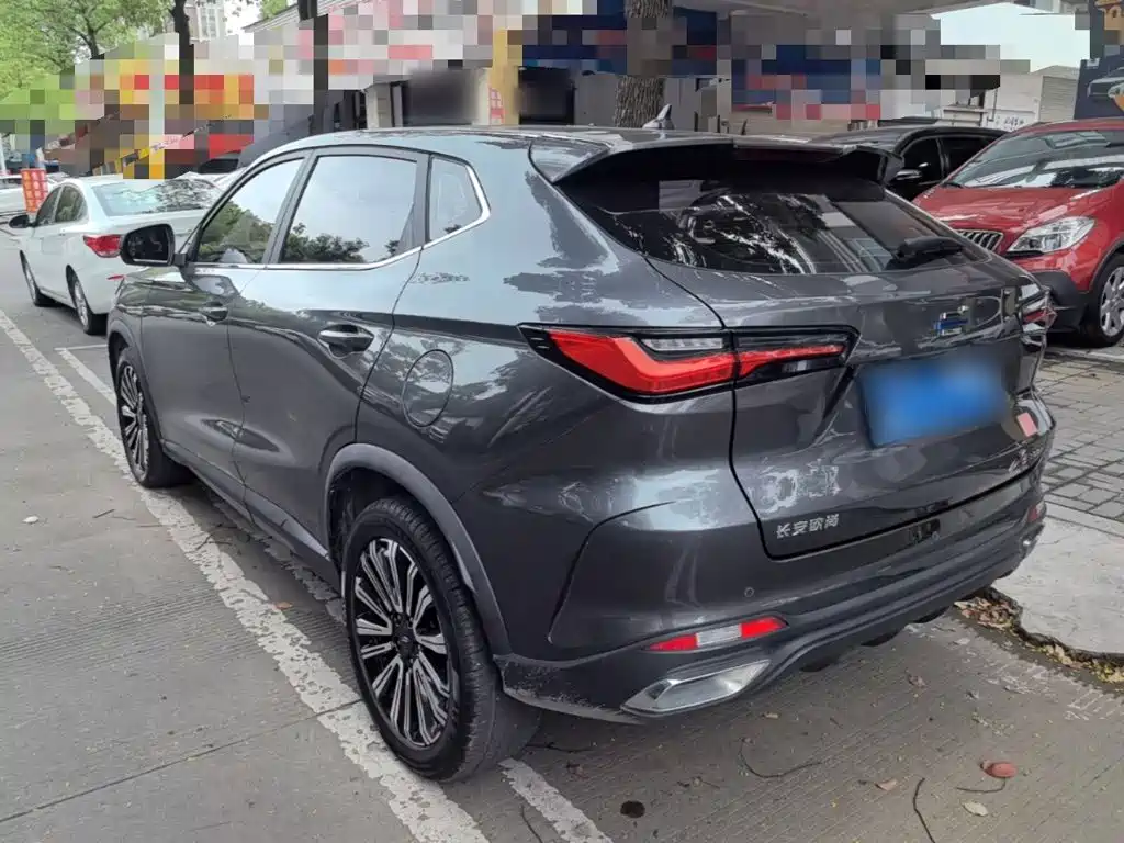 Oshan Oushang X5 — миниатюра 5