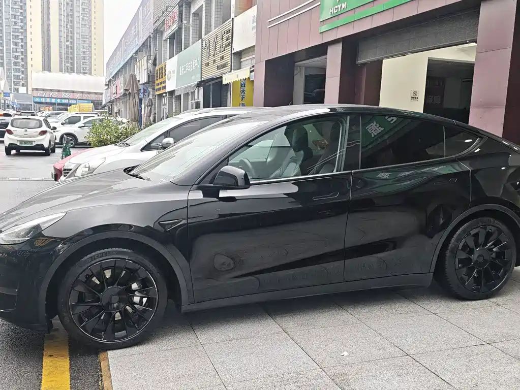 Tesla Model Y — миниатюра 13