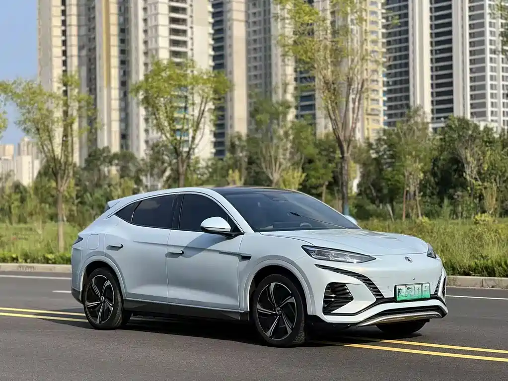 Denza Denza N7 — миниатюра 3