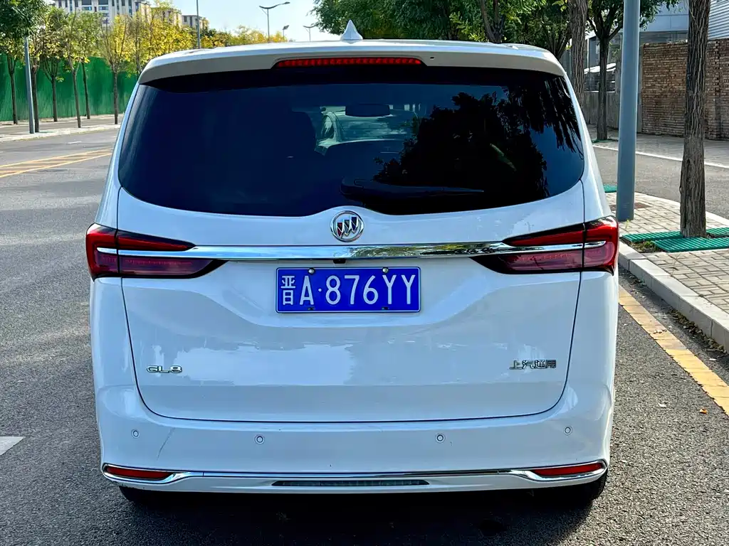 Buick GL8 — миниатюра 14