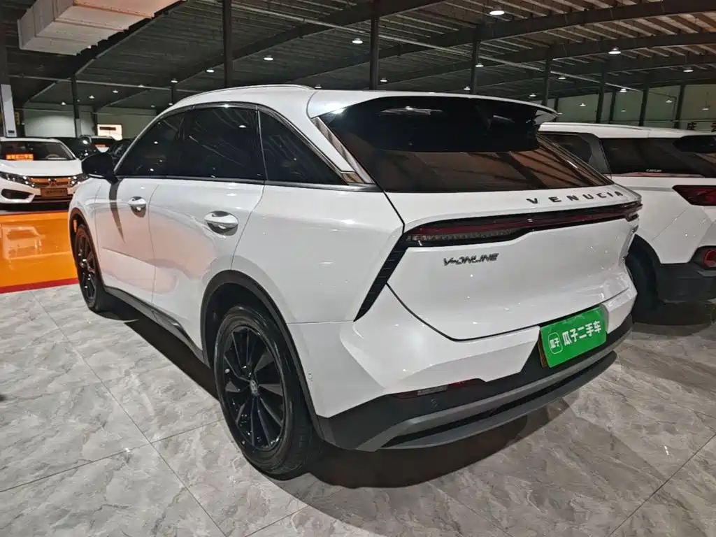 Venucia V — миниатюра 5