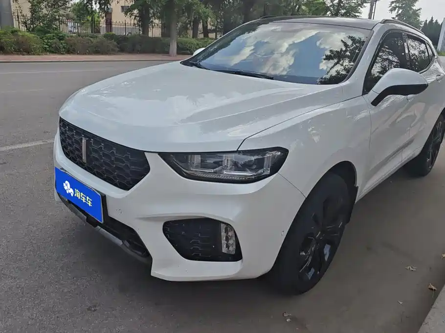 Wey Wey VV5