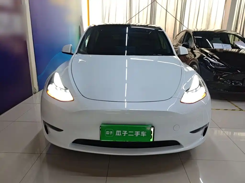 Tesla Model Y — миниатюра 3