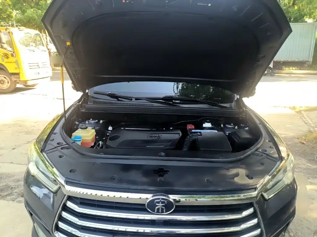 BYD Pro — миниатюра 20