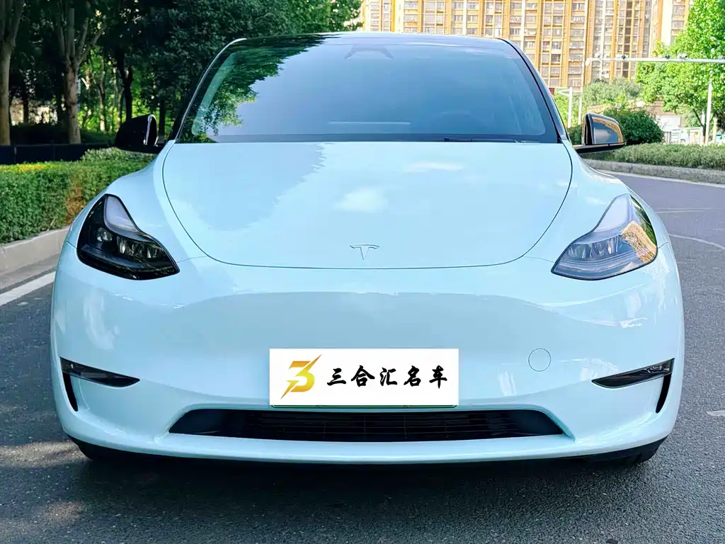 Tesla Model Y — миниатюра 2