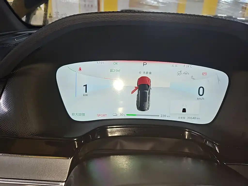 BYD Tang New Energy — миниатюра 12