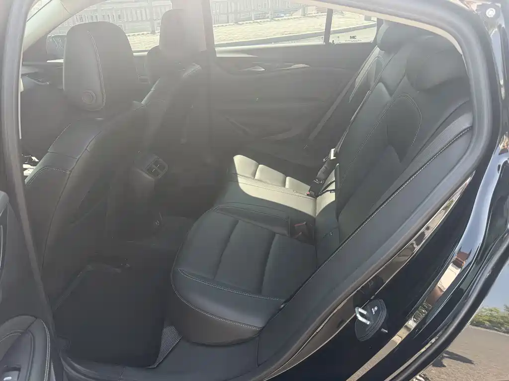 Buick Regal — миниатюра 8