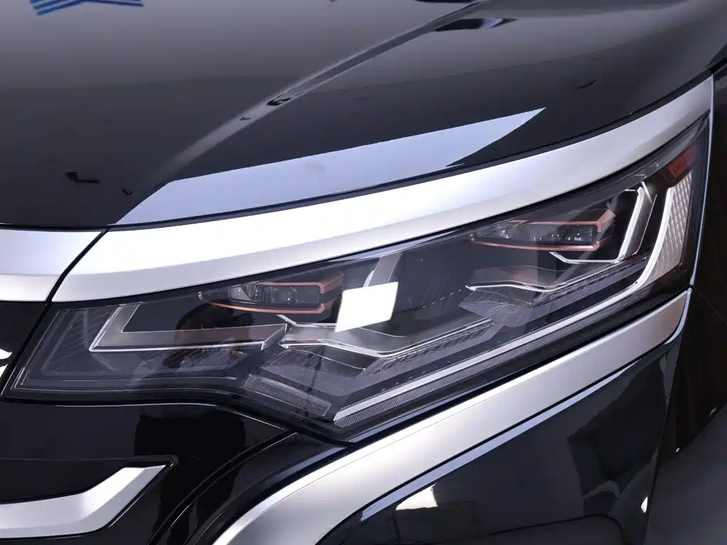 Denza Denza D9 — миниатюра 4