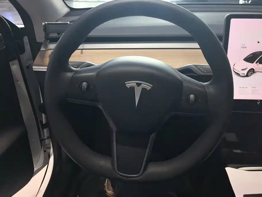 Tesla Model Y — миниатюра 15