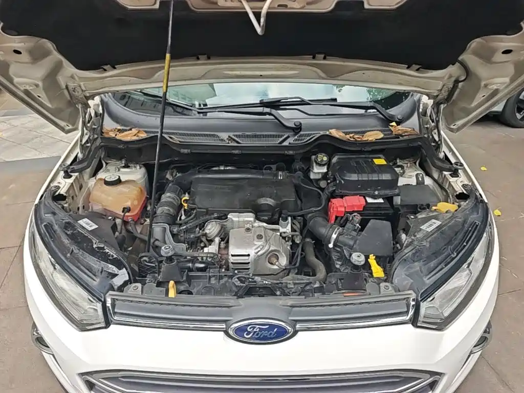 Ford Ecosport — миниатюра 20