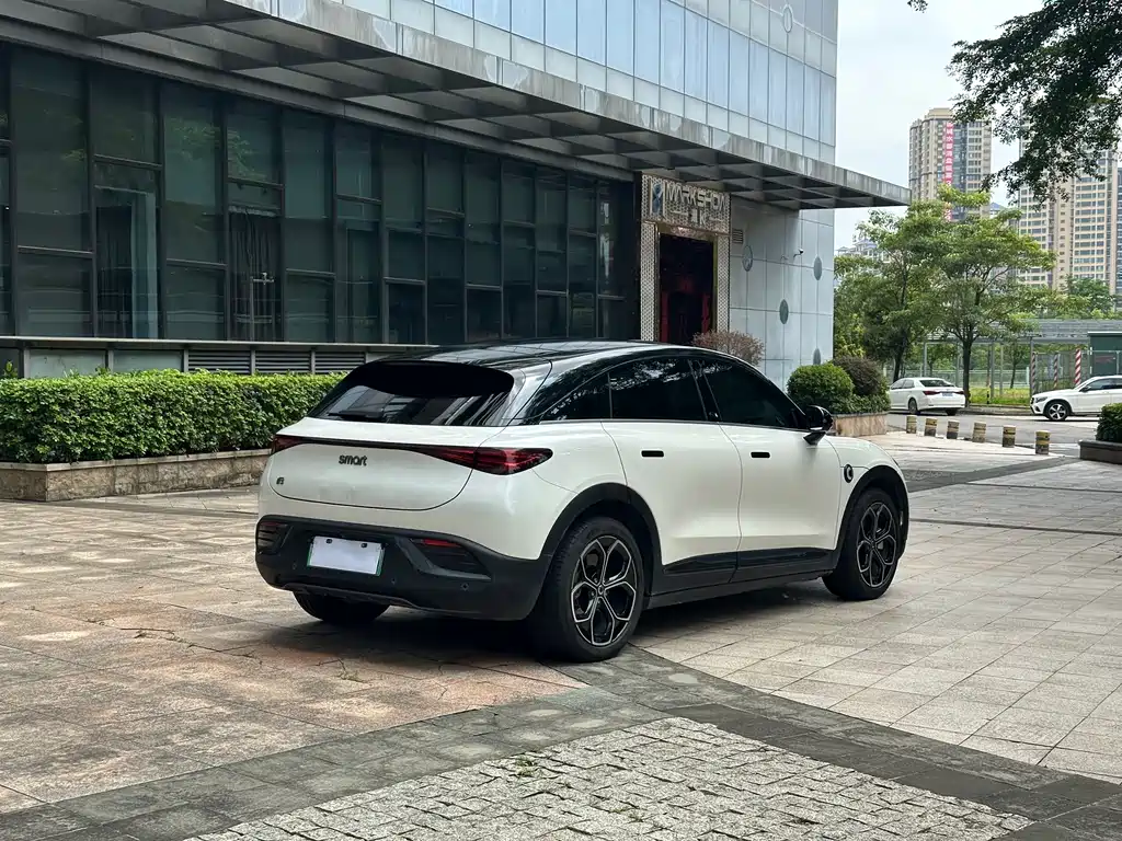 smart Smart #3 — миниатюра 20
