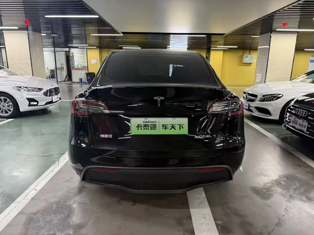 Tesla Model Y — миниатюра 6