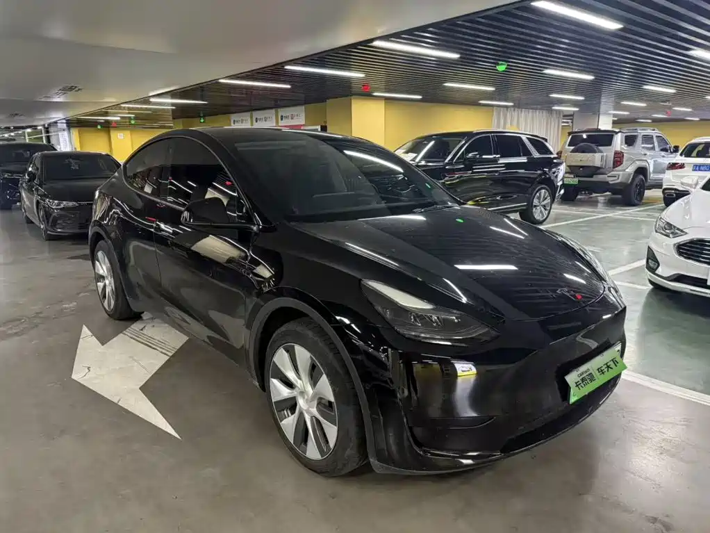 Tesla Model Y — миниатюра 2