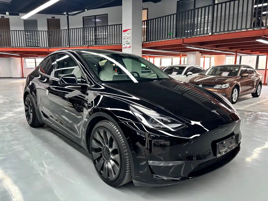 Tesla Model Y — миниатюра 3