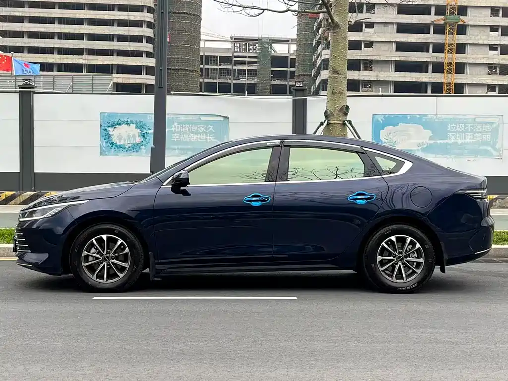 BYD Destroyer 05 2024 DM-i 55KM Luxury
