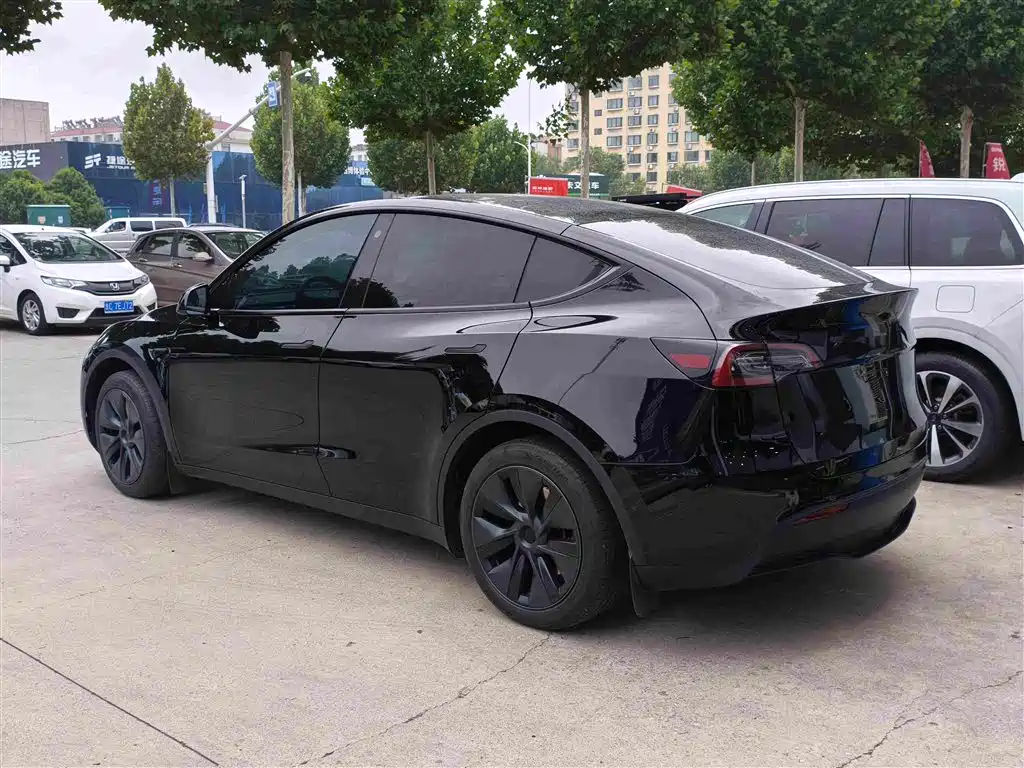 Tesla Model Y — миниатюра 4