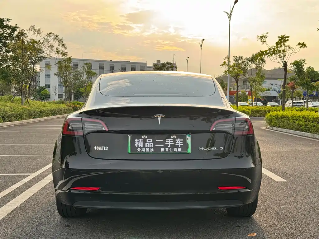 Tesla Model 3 — миниатюра 6