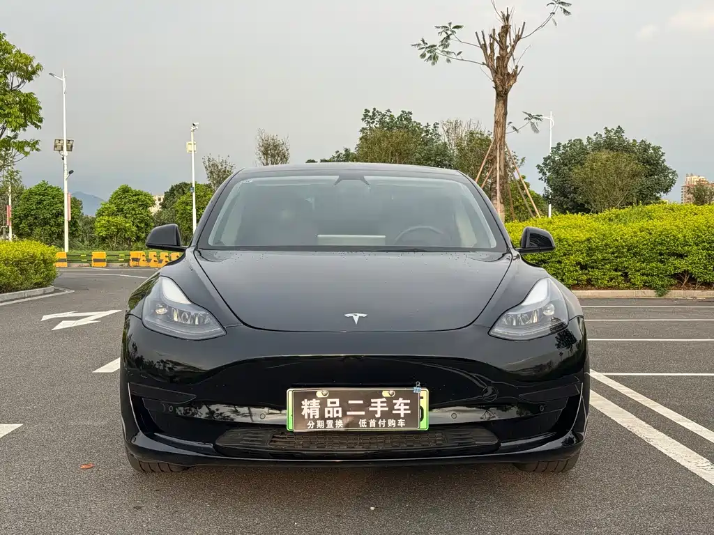 Tesla Model 3 — миниатюра 2