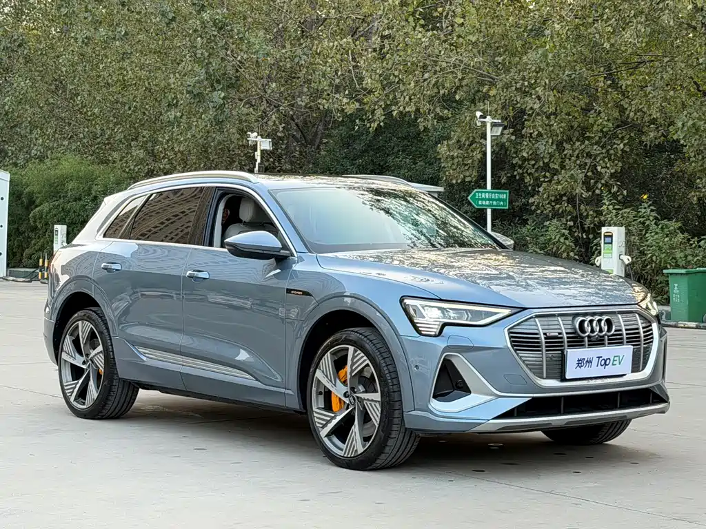 Audi e-tron — миниатюра 3